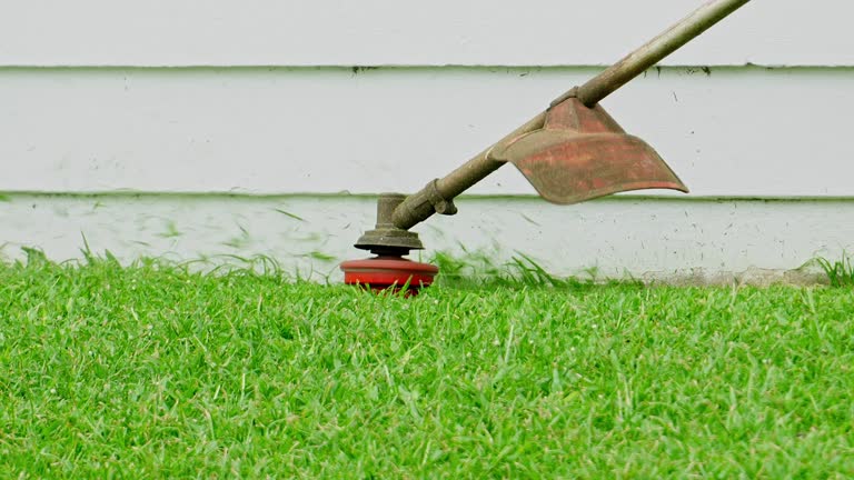 How Our Tree Care Process Works  in  Blue Ash, OH